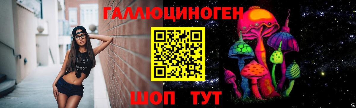 Томск  Галлюциногенные грибы Psilocybine cubensis  Вход с VPN 
